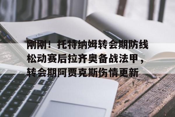 中国九游体育-关于刚刚！托特纳姆转会期防线松动赛后拉齐奥备战法甲，转会期阿贾克斯伤情更新的信息